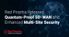 Red Piranha Releases Quantum-Proof SD-WAN and Enhanced Multi-Site Security