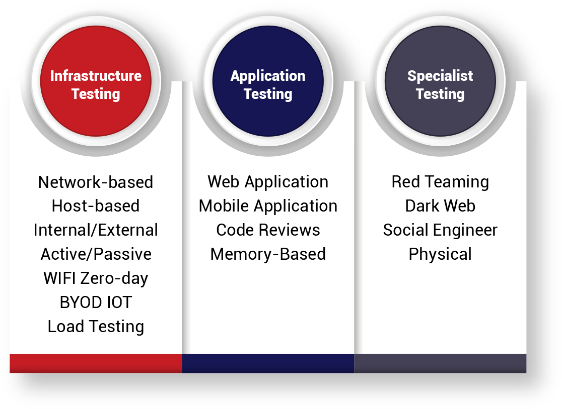 Vulnerability Scanning and Penetration Testing Services​